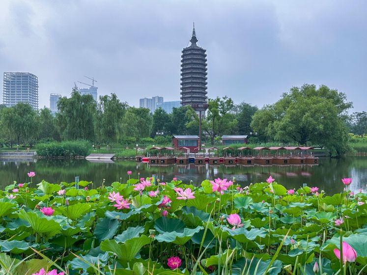 Peking
