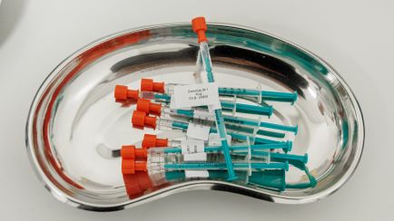 Während der "Lange Nacht des Impfens" liegen Spritzen mit aufgezogenem Coronaimpstoff in einer Schale.