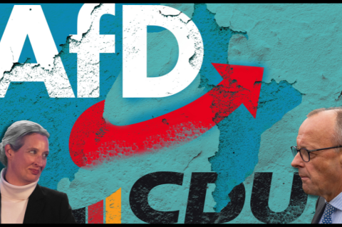 AfD Merz