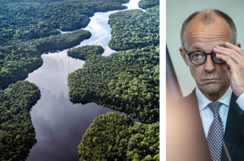 Der Fluss Curua im Amazonas