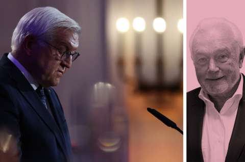 Bundespräsident Frank-Walter Steinmeier