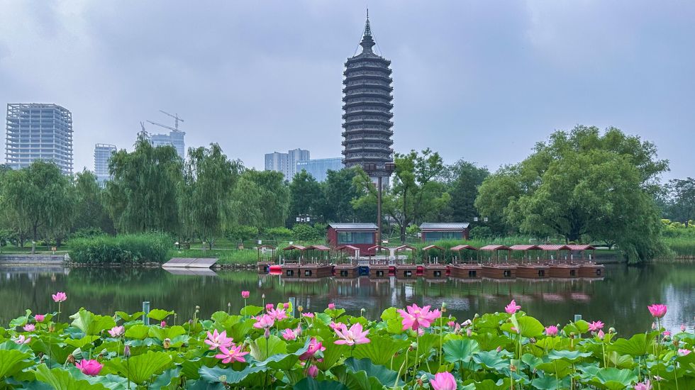 Peking