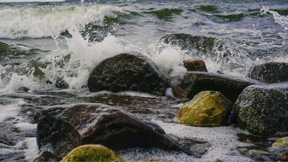 Wider-die-Entfremdung-Ordoliberalismus-ist-die-Antwort-auf-den-Populismus