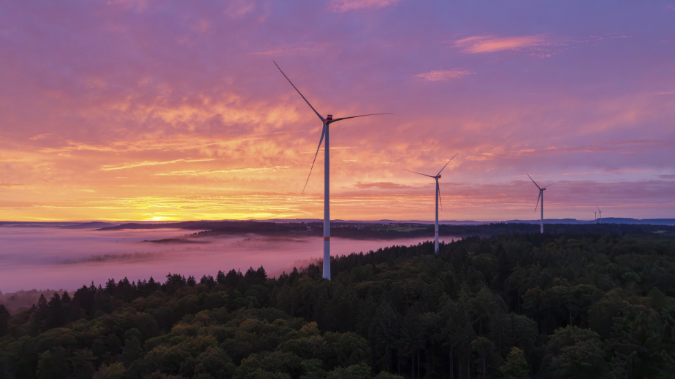 Ein-konom-zieht-Bilanz-Die-gr-ne-ra-geht-zu-Ende-weltweit-